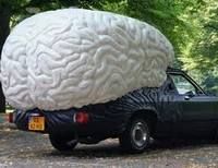 Голландец снабдил автомобиль&#133; светящимся мозгом (фото, видео)