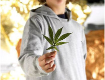 ребенок с марихуаной