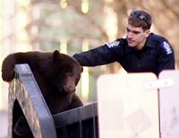 ванкуверские мусорщики привезли со свалки медведя