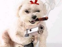 собака с оружием