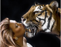 поцелуй с тигром
