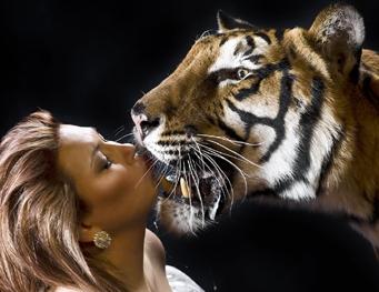 поцелуй с тигром