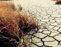 засуха в Боливии