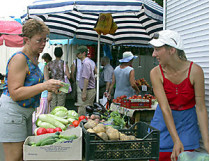 На столичных рынках значительно подешевели лук, свекла, огурцы и помидоры