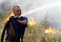 Из-за объявленного по всей украине чрезвычайно высокого уровня пожарной опасности мчс просит в леса не ходить