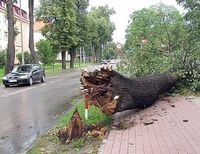 стихия