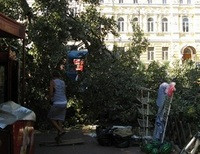в Одессе ветка дерева упала на трамвайную остановку