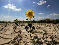 засуха в Украине