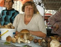грибы на рынке