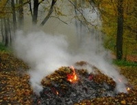 сжигание листьев
