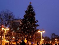 Ивано-Франковск новогодняя елка наезд на пешеходов