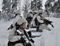 шведские вооруженные силы