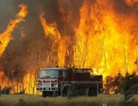 лесной пожар в Испании