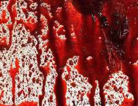 убийство кровь