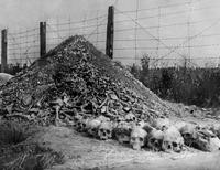 концлагерь Освенцим