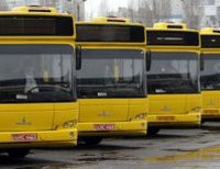 автобусы общественный транспорт