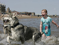 Дети купаются с собаками
