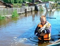 Уровень воды у Комсомольска-на-Амуре наконец-то начал снижаться