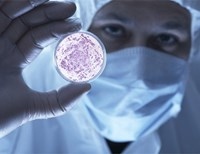 Человечеству угрожают устойчивые к лекарствам бактерии – ученые