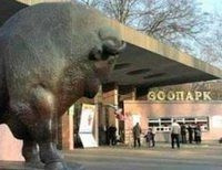 Всю зиму билеты в киевский зоопарк будут продавать за полцены