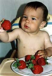 Малыши, которых рано отлучили от груди или закармливают, чаще страдают пищевой аллергией