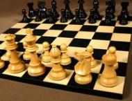 Чемпионат мира по&nbsp;шахматам пройдет в&nbsp;Харькове?
