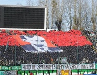 Флаги УПА на стадионах
