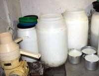 подпольный цех молочные продукты