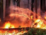 Более 70 тысяч человек эвакуированы за&nbsp;сутки из-за лесных пожаров в&nbsp;Калифорнии