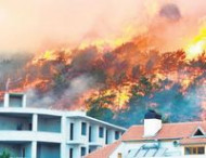 Под Антальей в результате лесных пожаров серьезно пострадали пять отелей