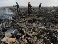 Власти договорились с ДНР о доставке погибших в авиакатастрофе на экспертизу