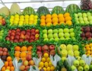 Россия ввела запрет на ввоз молдавских фруктов и овощных консервов