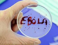 лихорадка Эбола 