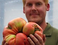 Американский фермер вырастил помидор весом 3,8 килограмма