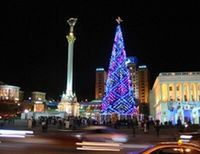 Главную елку страны установят на Софиевской площади Киева 