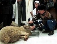 Курбан-Байрам