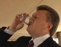 Янукович пьет