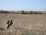 ОБСЕ не зафиксировала ни одного случая использования украинской армией кассетных боеприпасов