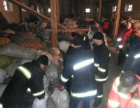 На Житомирщине собрали 72 тонны овощей для жителей Донбасса