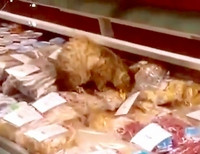 Пробравшись в магазин в аэропорту Владивостока, кот за ночь наел деликатесов на 60 тысяч рублей