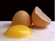 куринные яйца