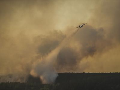 Опубликованы фотографии пожара в зоне отчуждения вокруг ЧАЭС