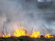 В "Чернобыльской зоне" продолжают гореть четыре торфяника — ГСЧС