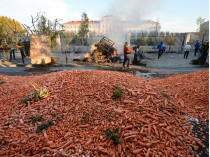В Париже перед штаб-квартирой правящей партии разбросали четыре тонны моркови 