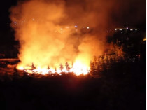 На территории «Артека» в Крыму произошел пожар