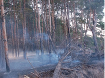 Тушение пожара в Чернобыльской зоне продолжается