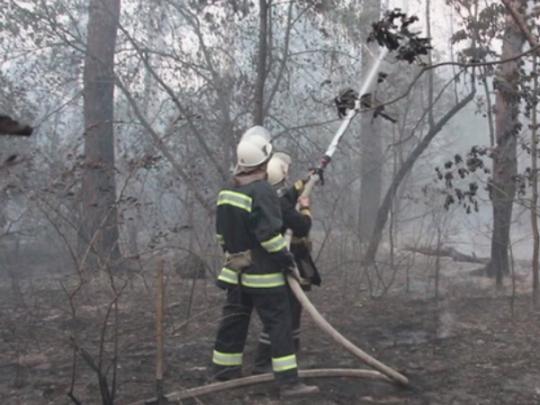 Пожар на окраине Киева потушен&nbsp;— ГСЧС