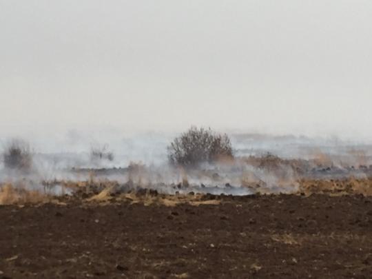 пожар торфяники Киев