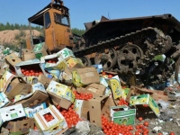 Россия уничтожение продуктов