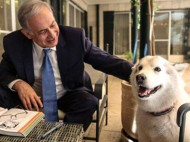 Собака Нетаньяху покусала его гостей 